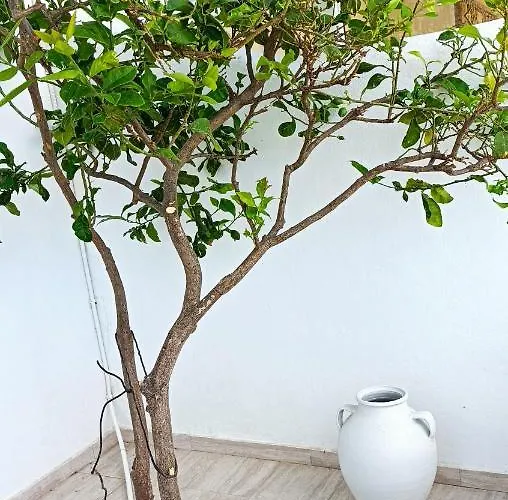 Summer Hοuse Appartement Vívlos